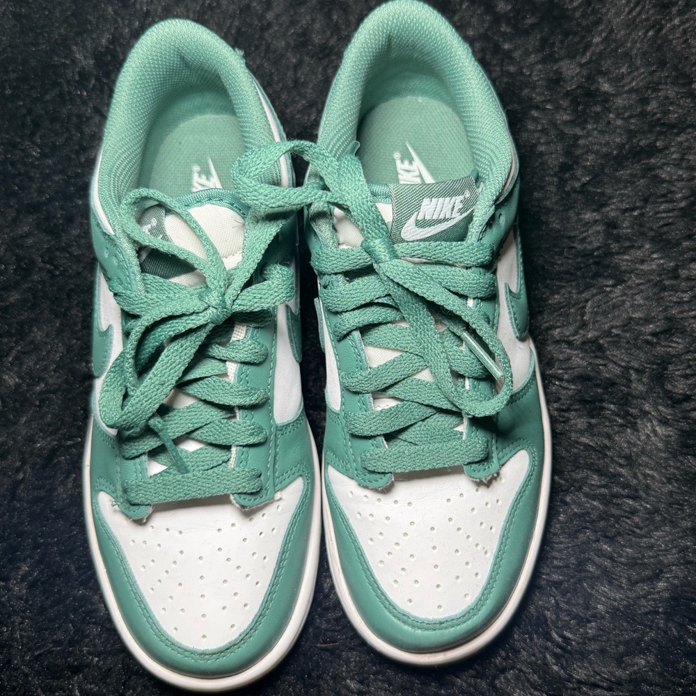 Nike Women's Teal and White Sneakers